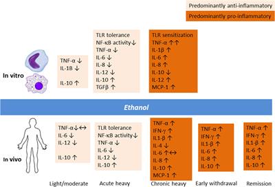 Neuroimmune Interface in the Comorbidity between Alcohol Use Disorder and Major Depression